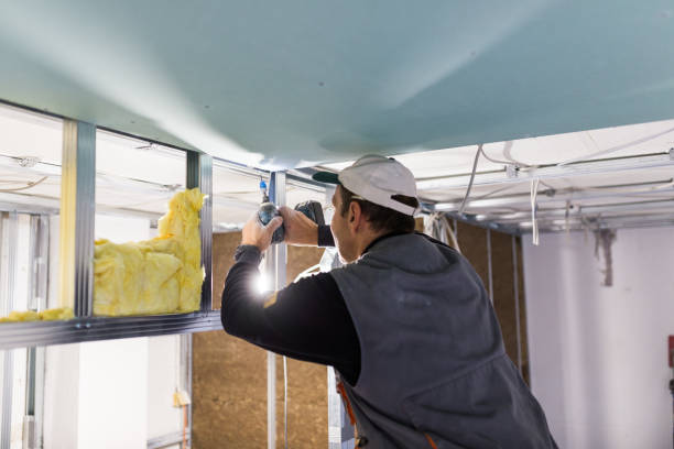 Types of Insulation We Offer in Seven Oaks, SC