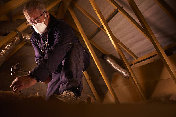 Best Specialized Insulation Services in Seven Oaks, SC